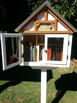 Little Library at Franklin, NC Town Hall